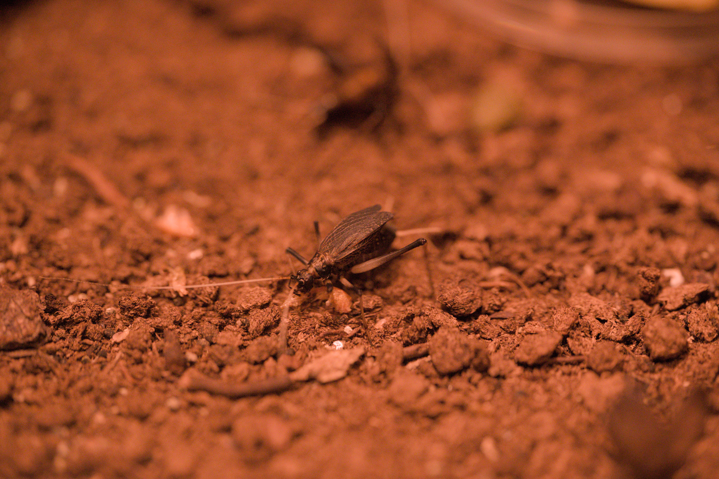 2025/10/12 - zoo/DSC_0241.jpg